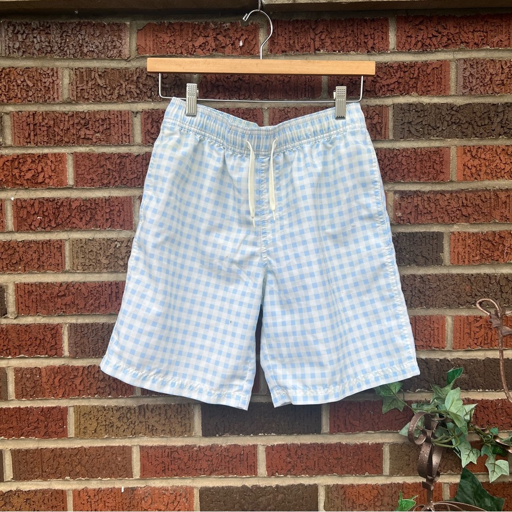Cat & Jack Blue and White Gingham Print Swim Trunks